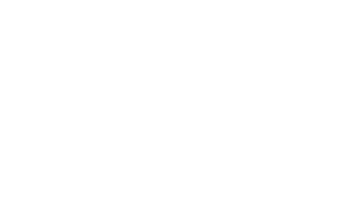 SMMIS
