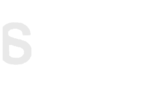 Selecta Training