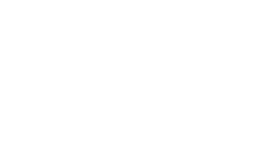 Netmatico